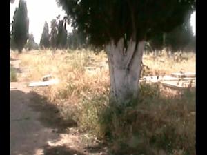 ORAN TAMAZOUHET 28
